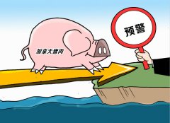 獸藥殘留檢測儀提高肉類食品安全水平