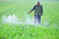 多通道農(nóng)藥殘留檢測(cè)儀的儀器特點(diǎn)和原理