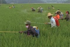 有機(jī)時(shí)蔬會(huì)不會(huì)有農(nóng)藥殘留呢？